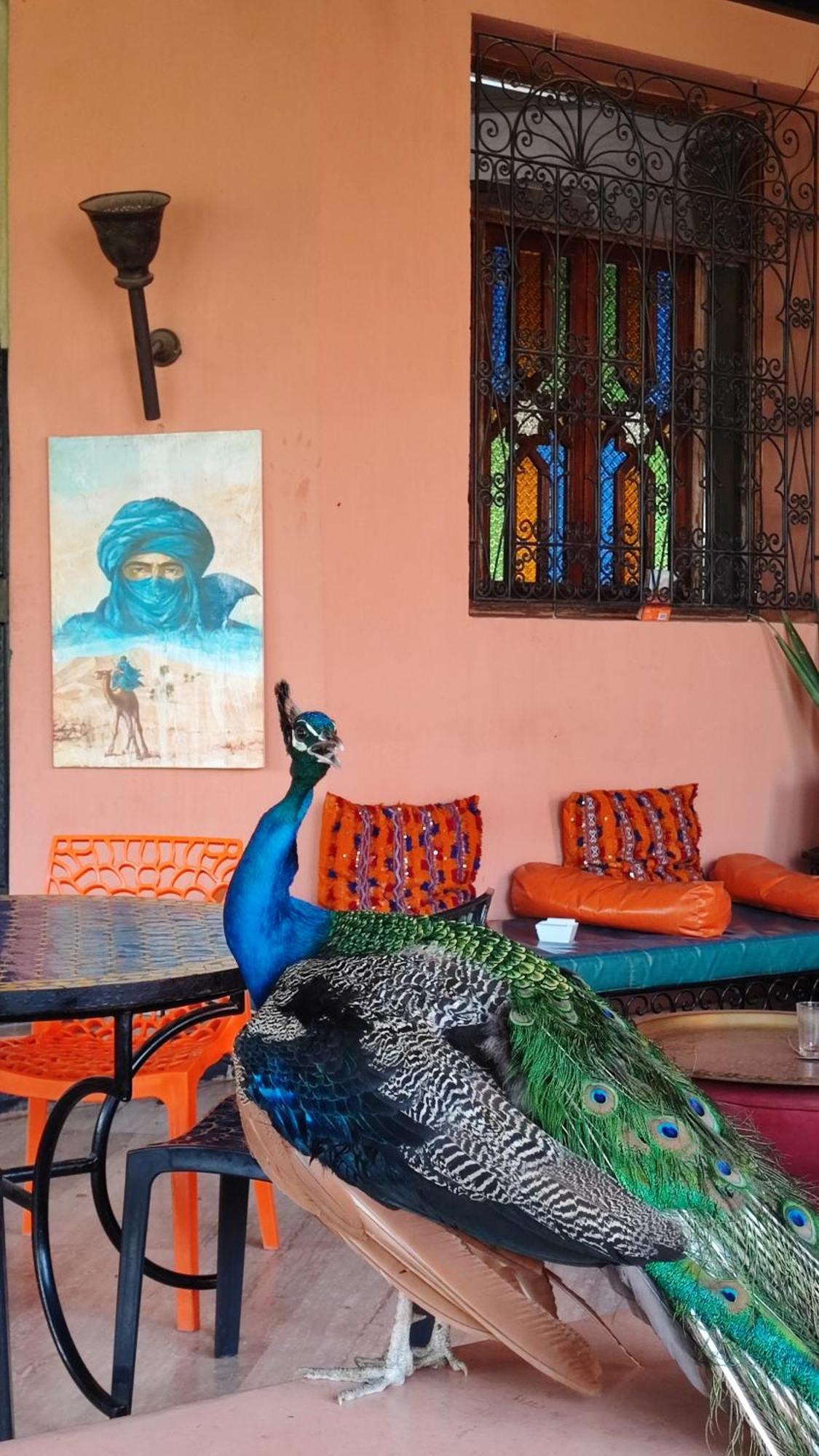 Las Palmeras Guest House Douar Caïd Layadi エクステリア 写真
